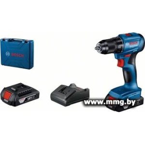 Bosch GSR 185-LI Professional 06019K3080 (с 1-м АКБ, кейс, китайская версия)
