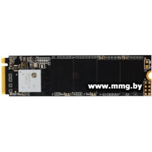 SSD 512GB BIOSTAR M710 M710-512GB