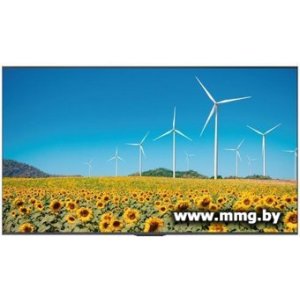 Hisense 55DP30FE