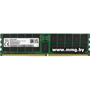 64GB PC5-51200 Hynix HMCG94AHBRA480N