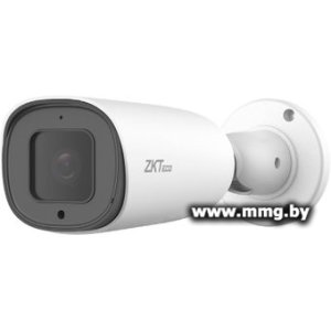 IP-камера ZKTeco BL-852T50A-S6