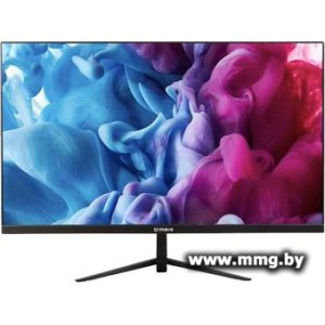 IRBIS ViewWorld 24FIDS010