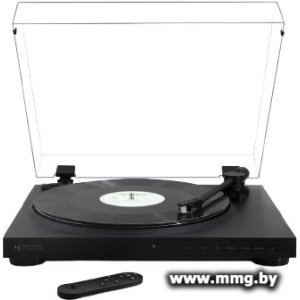 Music Public Kingdom TT44ATA