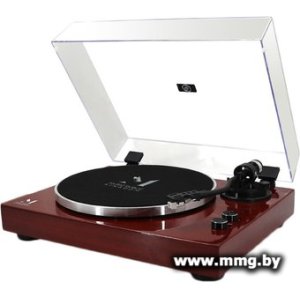 Music Public Kingdom TT53AT