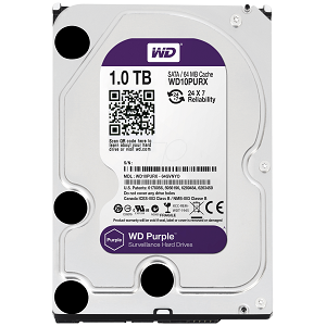 Купить 1000Gb WD Purple (WD10PURX) в Минске, доставка по Беларуси