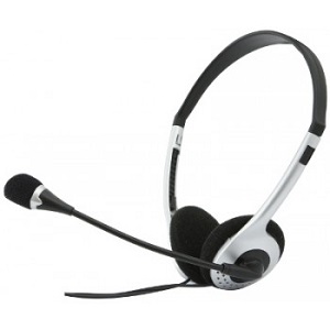 Купить SVEN AP-010MV Black-Silver в Минске, доставка по Беларуси