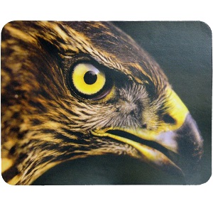 Купить Buro BU-M40005 "Орёл" в Минске, доставка по Беларуси