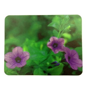 Buro BU-M20012 "Цветы"