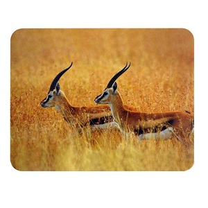 Купить Buro BU-M40077 "Антилопы" в Минске, доставка по Беларуси