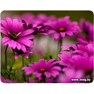 Buro BU-M20045 "цветы"