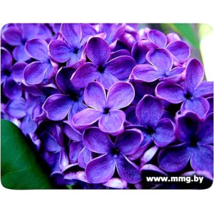 Купить Buro BU-M20049 "сирень" в Минске, доставка по Беларуси