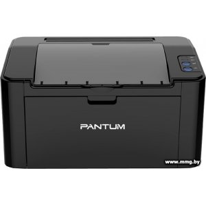 Pantum P2207