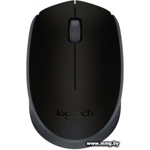Logitech M171 (черный) 910-004643 / 910-004424