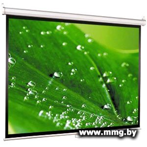 Купить Viewscreen Scroll (WSC-1103) в Минске, доставка по Беларуси