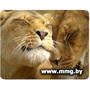 Купить Buro BU-M40030 "Лев" в Минске, доставка по Беларуси