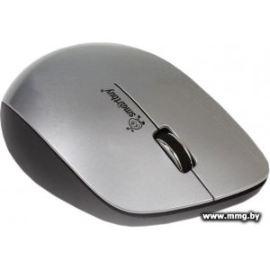 SmartBuy 309AG Silver/Black SBM-309AG-SK
