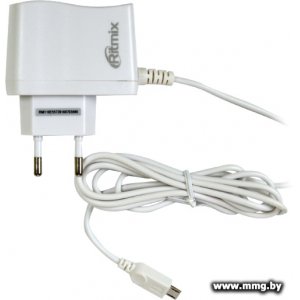 Купить Зарядное устройство Ritmix RM-110 (белый) в Минске, доставка по Беларуси