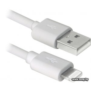 Купить Кабель Defender ACH01-03BH белый [87479] в Минске, доставка по Беларуси