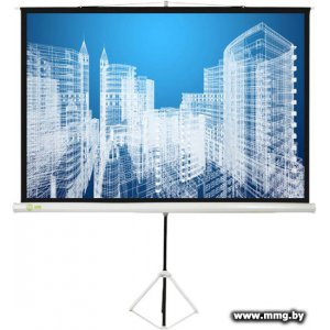 Купить Cactus Triscreen CS-PST-127X127 в Минске, доставка по Беларуси