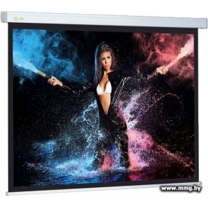 Купить Cactus Wallscreen CS-PSW-168x299 в Минске, доставка по Беларуси