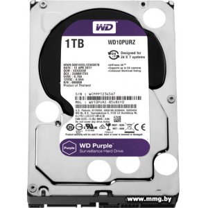 Купить 1000Gb WD Purple (WD10PURZ) в Минске, доставка по Беларуси