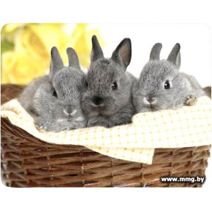 Купить Buro BU-M40092 "кролики" в Минске, доставка по Беларуси