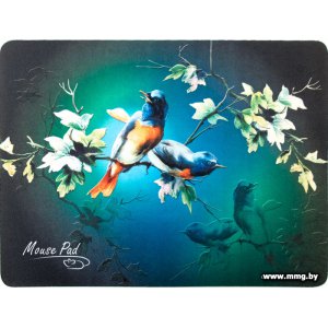 Купить Dialog PM-H17 Bird в Минске, доставка по Беларуси
